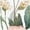 Beige, variant on 3/4 Length Sleeve Womens Tunic Tops Spring Floral Printed V Neck Blouse Summer Casual Loose Fit Shirts