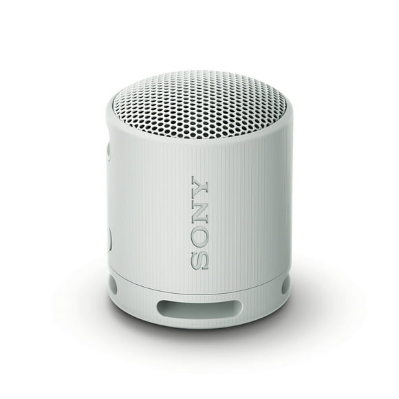 Altavoz Sony SRS-XB100 inalámbrico Bluetooth impermeable gris