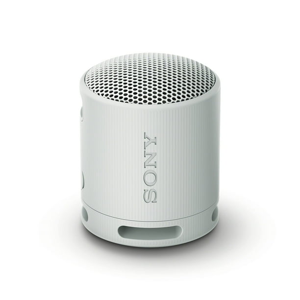 Altavoz Sony SRS-XB100 inalámbrico Bluetooth impermeable gris