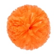 thumbnail image 1 of 2PCS Cheerleaders Handheld Color Flower Sports Activities Performance Cheering Supplies Round High Density Color Strip Lightweight Double Finger Ring Buckle Design Slip Off, 1 of 4