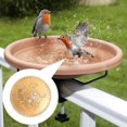 thumbnail image 4 of Copper Bird Bath Purification Disk, Copper Disc for Bird Bath, Bird Bath Copper Disk, Copper Bird Bath Purification Tray, Copper Disk for Bird Bath G, 4 of 9