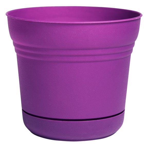 SATURN POT PASNFRT 12"