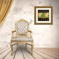 thumbnail image 3 of Pasion, Wani 20x20 Gold Ornate Wood Framed with Double Matting Museum Art Print Titled - Respect Mother Earth, 3 of 4