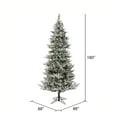 thumbnail image 3 of Vickerman 15' x 88" Flocked Kiana Artificial Christmas Tree, Dura-Lit® LED Warm White Mini Lights, 3 of 5
