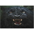thumbnail image 4 of GZHJMY Toilet Mat U-Shaped Fierce Leopard Soft and Absorbent Commode Contour Rug Plush Bathroom Rugs, Non-Slip, Machine Washable and Easier to Dry, 20x24 in Carpet Runner, 4 of 6