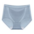 thumbnail image 1 of Gibobby Panty Microfibra con Encaje Calzoncillos de algodón para mujer Ropa interior de cálido menstrual de cintura media(Azul， L), 1 of 4
