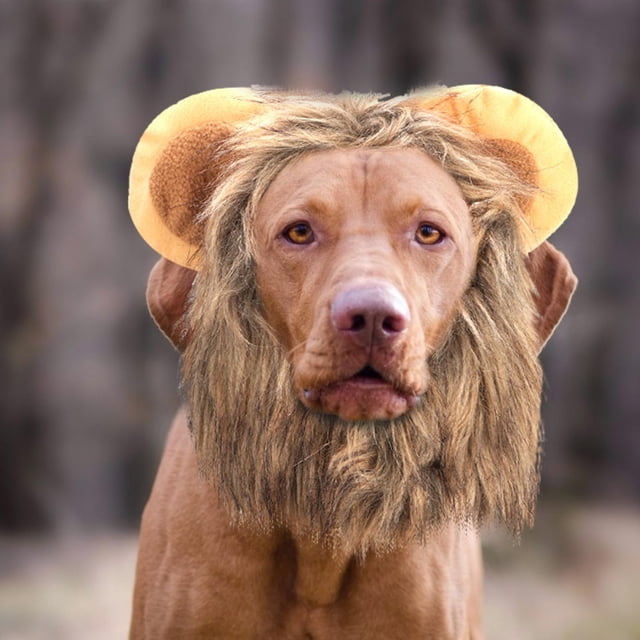 Cat , Creative Pet Costume, Light Brown Hat Cat For Pet