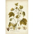 thumbnail image 2 of Plenk, J.J. 11x14 Gold Ornate Wood Framed with Double Matting Museum Art Print Titled - Elegant Botanical I, 2 of 4