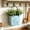 Blue, variant on TTJ Plants Pots Outdoor Plantsers for Outdoor Plants VintageVase Flower Pot with Handles Decorative Jug Pitcher for Dried Flowers Kitchen Living Room Shelf