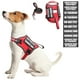 thumbnail image 1 of Set de arnés y correa para perros de servicio WINSEE Red (S), 1 of 6