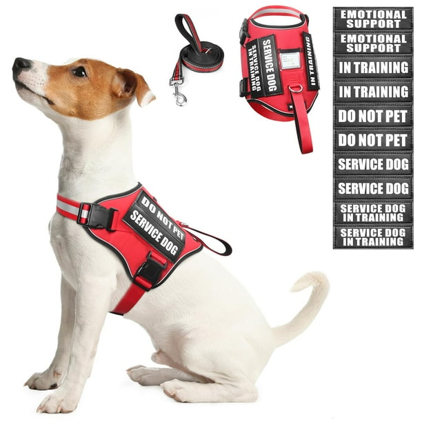 Set de arnés y correa para perros de servicio WINSEE Red (S)