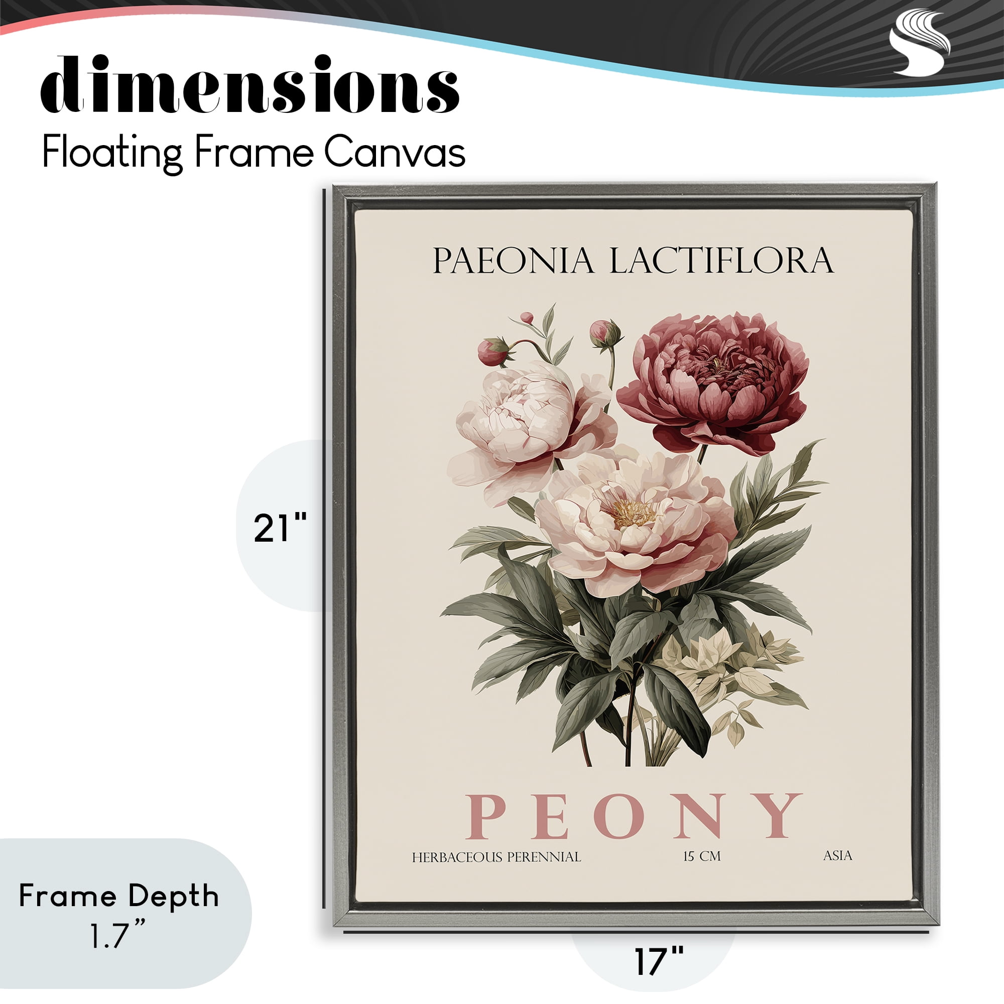 Stupell Industries Natural Peony Bundle Gray Framed Floater Canvas Wall Art, design by Christopher Giampietro