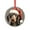 style, variant on Christmas Marmot, Groundhog Animal Christmas Ornament Marmot Gifts Crystal Glass Christmas Decor with Holiday Design Ornaments for Teacher Coworker Boss Friend Mentors