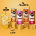 liquid-kombucha-sugar-free-organic-drink-low-calorie-probiotic-like