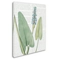 thumbnail image 2 of Trademark Fine Art 'Summer Botanicals IV' Canvas Art by Wild Apple Portfolio, 2 of 3