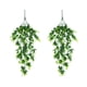 thumbnail image 1 of Plantas artificiales Cateissary 2 piezas/juego 80 cm de largo Decoración verde para hogar y tienda, 1 of 6