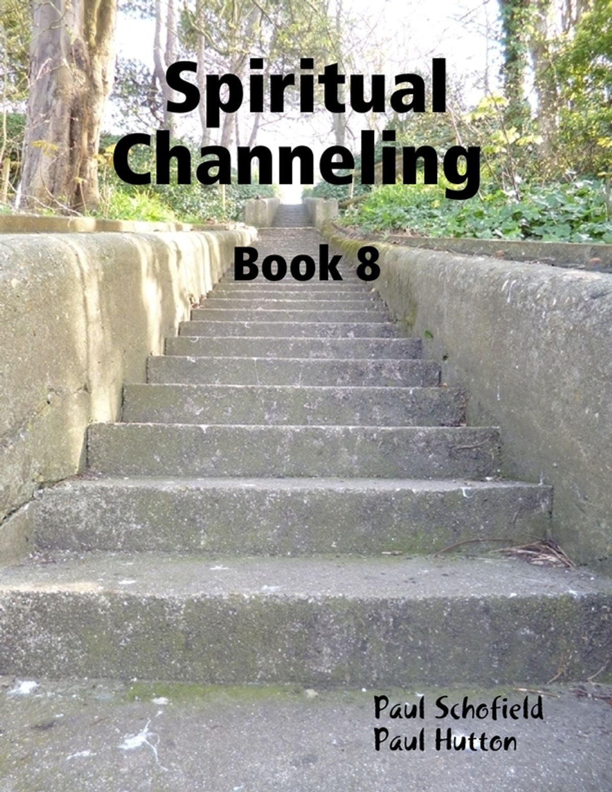 Spiritual Channeling Book 8 eBook
