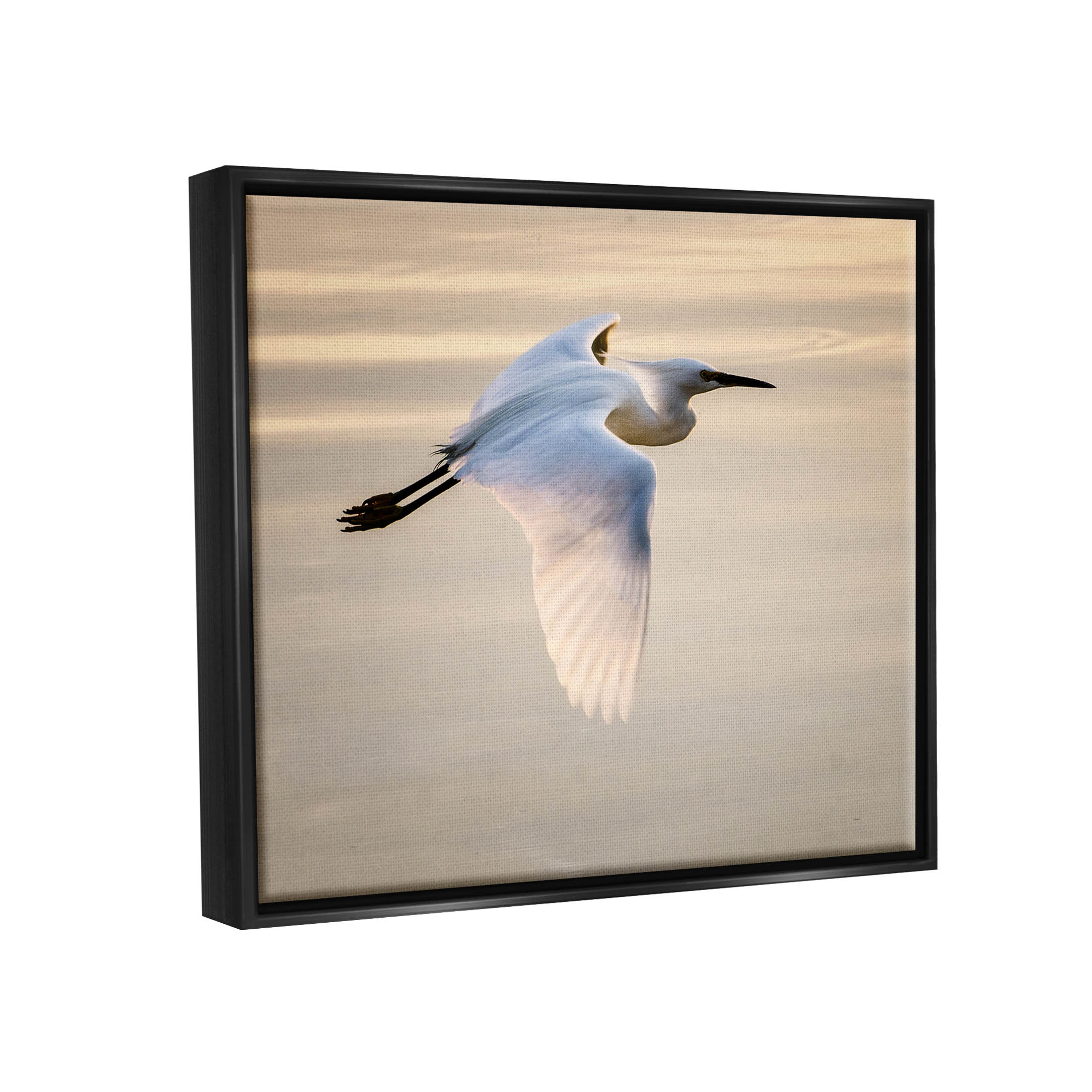 Egret Gliding Aerial View Animals & Insects Photograph Jet Black Framed Art Print Wall Art
