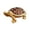 Brown, variant on QIQUWOHUL Energy Turtle Wish Box Mini Sea Turtle Figurine Trinket Box Vintage Turtle Jewelry Box Ornaments Turtle Statue Desktop Jewelry Storage Box Ornament