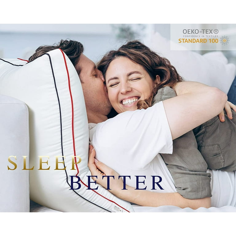 Bed Pillows for Sleeping 2 Pack Down Alternative Pillows Standard Size Set of 2 Soft Hotel Collection Pillows for Side and Back Sleepers Gusseted