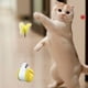 thumbnail image 5 of Divertido juguete interactivo para gatos, vaso, juguete para gatos, juguete con fugas y divertido palo para gatos., 5 of 5
