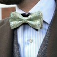 thumbnail image 2 of Conjunto de pajarita Barry.Wang con estampado floral verde salvia y seda azul claro, 2 of 7