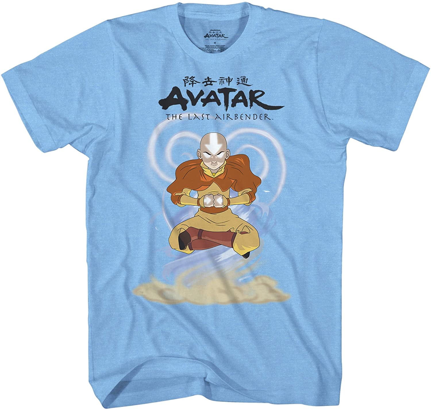 Avatar The Last Airbender Mens Short Sleeve T-Shirt - Avatar Aang, Katara,  Sokka, Toph, Zuko, Iroh, Appa, MoMo - Nickelodeon Avatar in Air, X-Large -  Walmart.com