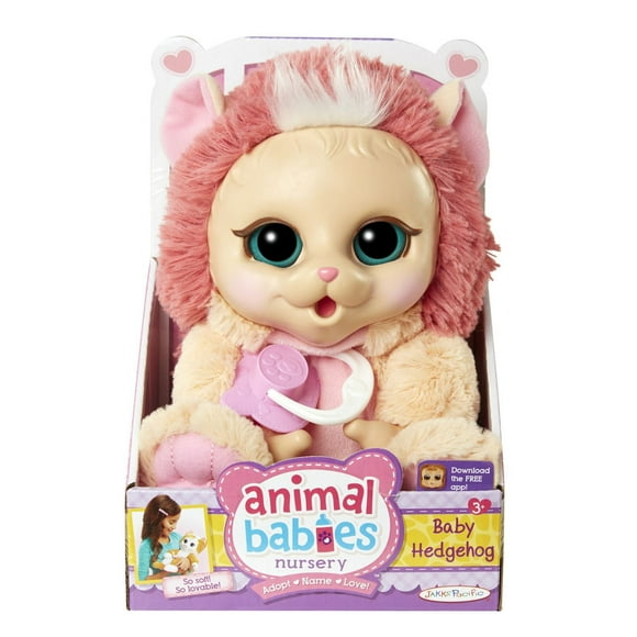Animal Babies Nursery Baby Hedgehog