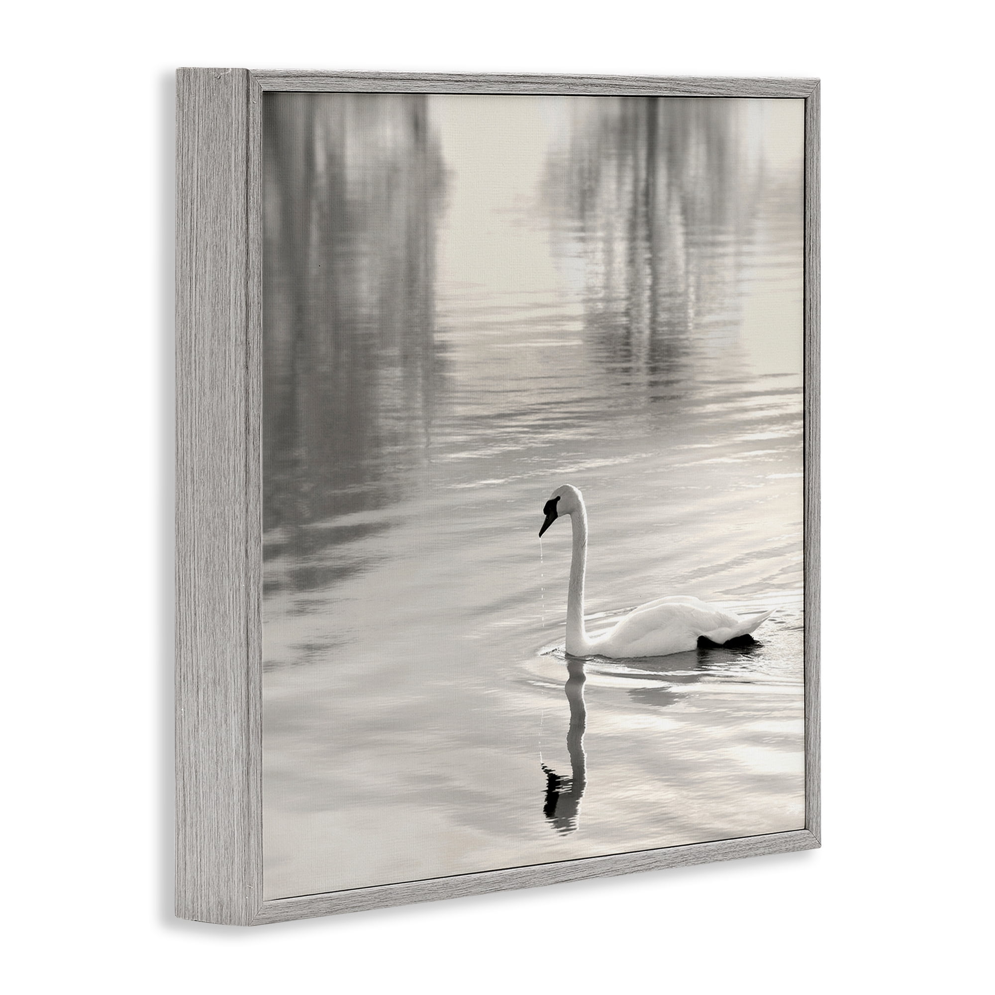 Stupell Industries Morning Sunlit Swan Gray Framed Giclee Art, design by Nicholas Bell