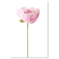 thumbnail image 1 of Awkward Styles Peony Flower Poster Art Peonies Photo Wall Art Girls Room Inspirational Pink Print Foliage Room Decor Pink Peony Framed Art Original Vinyl Art Beautiful Floral Art Home Decor Ideas, 1 of 3