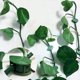 thumbnail image 2 of Clips para soporte de plantas de vid: fijador adhesivo transparente para plantas, soporte multifuncional e invisible para tallos y vides (50 piezas), 2 of 3