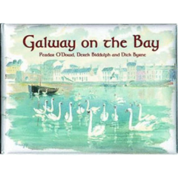 Pre-Owned Galway on the Bay (Hardcover) 1900935252 9781900935258