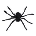 thumbnail image 1 of Decoración de araña de Halloween Araña peluda negra con ojos iluminados en color púrpura Patas para fiesta en el patio Casa encantada Decoración interior al aire libre 125 cm Pilas de botón CR2032 X 4, 1 of 14