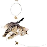 Cat Dancer Cat Toy