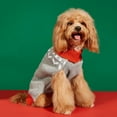 thumbnail image 4 of CBFFDC Festive Pet Sweater Christmas Pet Sweater Warm Breathable Comfortable Winter Clothes for Dogs Cats Holiday Festive Decor, 4 of 7