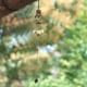 thumbnail image 1 of Campanas de Viento Campana de Viento de Metal Forma Animal Adorno para el hogar Decoración de Patio al Aire Libre, 1 of 5