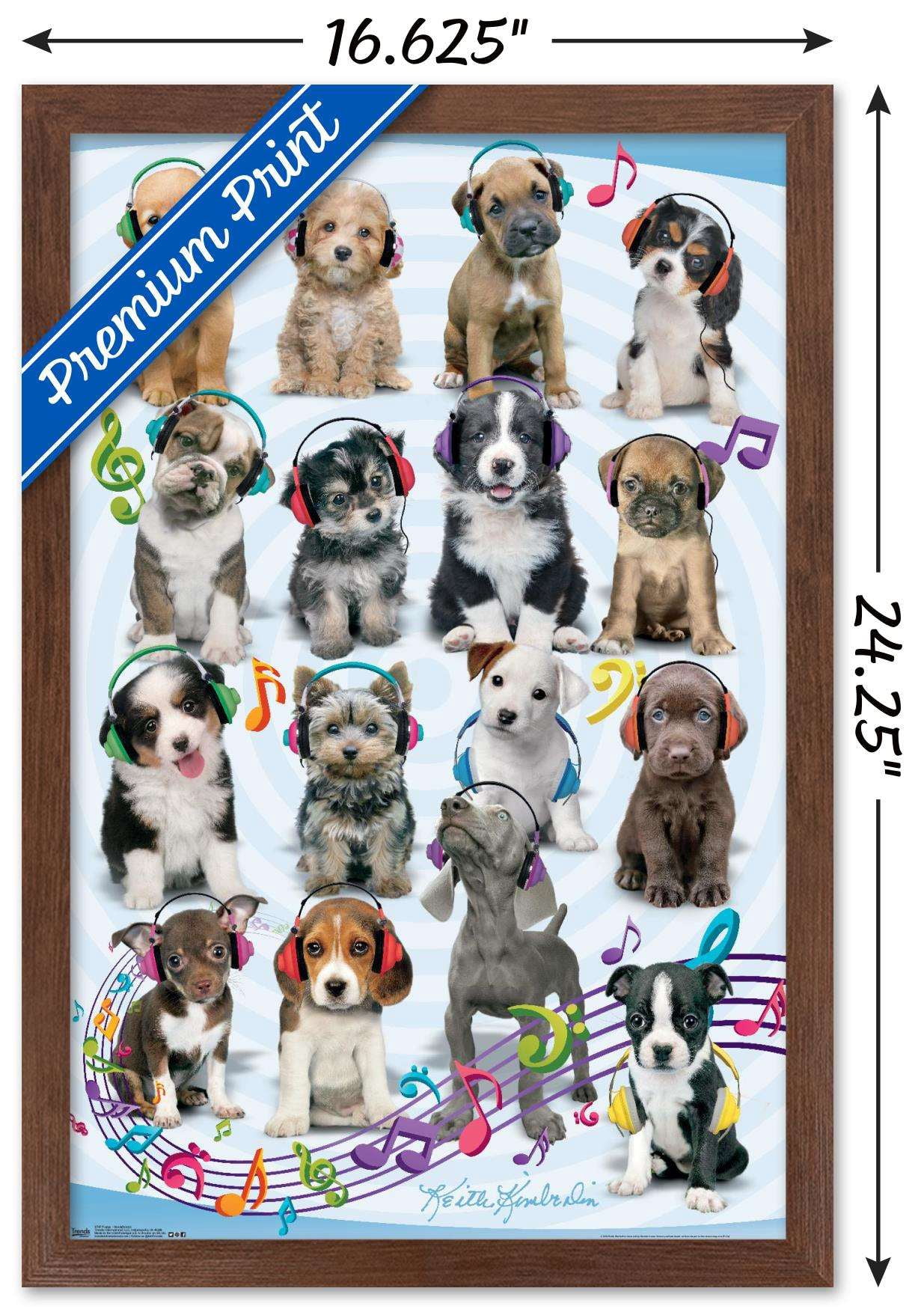 Keith Kimberlin - Puppies - Headphones Wall Poster, 14.725" x 22.375", Framed