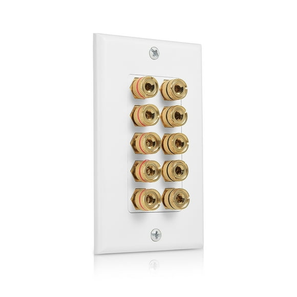 Cable Matters Speaker Wire Wall Plate (Speaker Wall Plate, Banana Plug Wall Plate) for 5 Speaker in White
