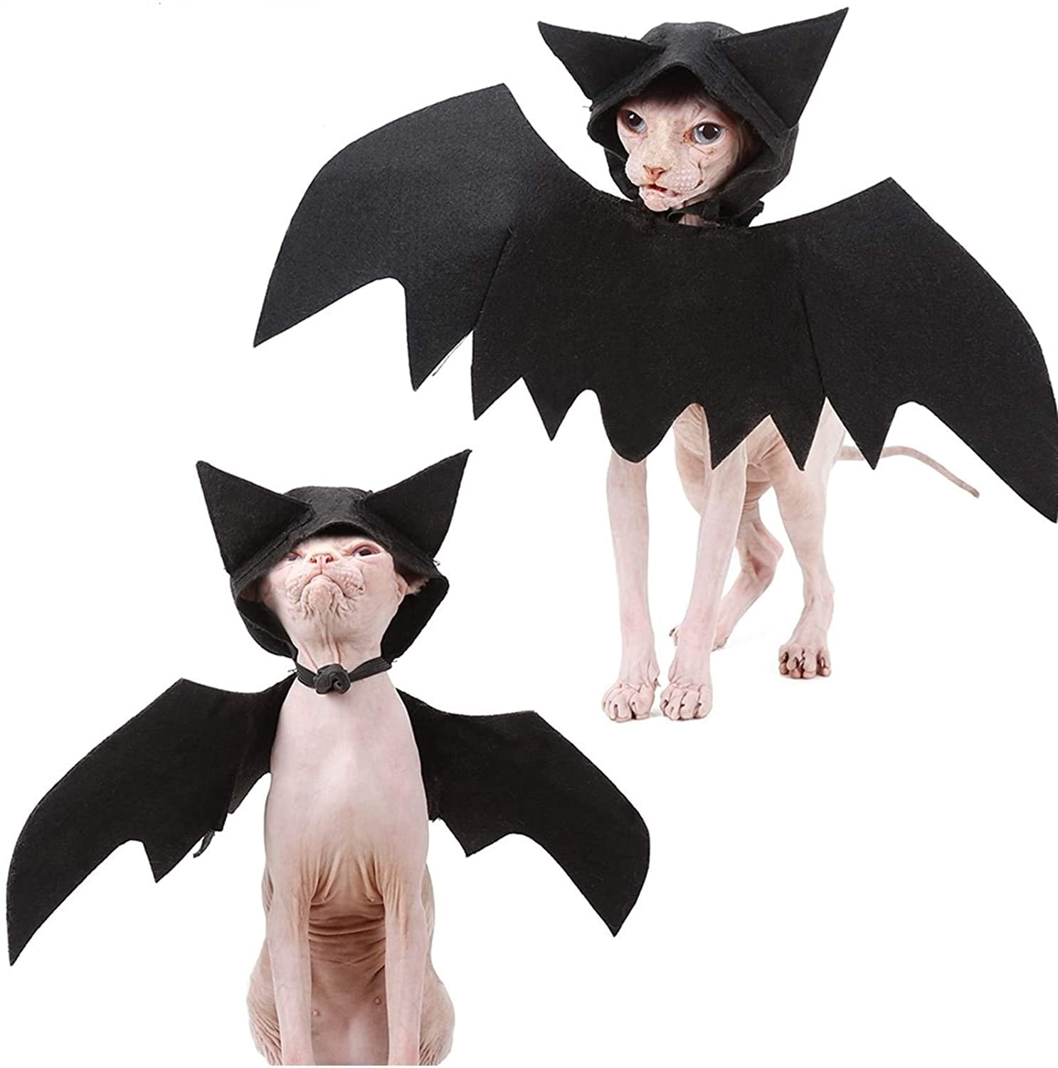 Pet Halloween Costumes Cat Halloween Bat Wing With Hat Pet Cosplay Apparel For Small Dogs Cats Holiday Theme Party Dress Up Funny Cool Clothes Hall Walmart Com Pet Halloween Costumes Cat Halloween Bat Wing With Hat Pet Cosplay Apparel For Small Dogs Cats Holiday Theme Party Dress Up Funny Cool Clothes Hall Walmart Com