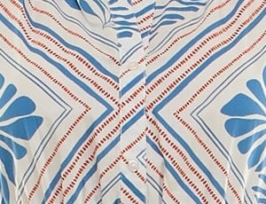 CORNFLOWER BLUE PRINT