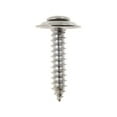 thumbnail image 5 of DORMAN AUTOGRADE 45585 TRIM SCREW, 5 of 5