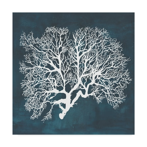 Trademark Fine Art 'Inverse Sea Fan III' Canvas Art by Grace Popp