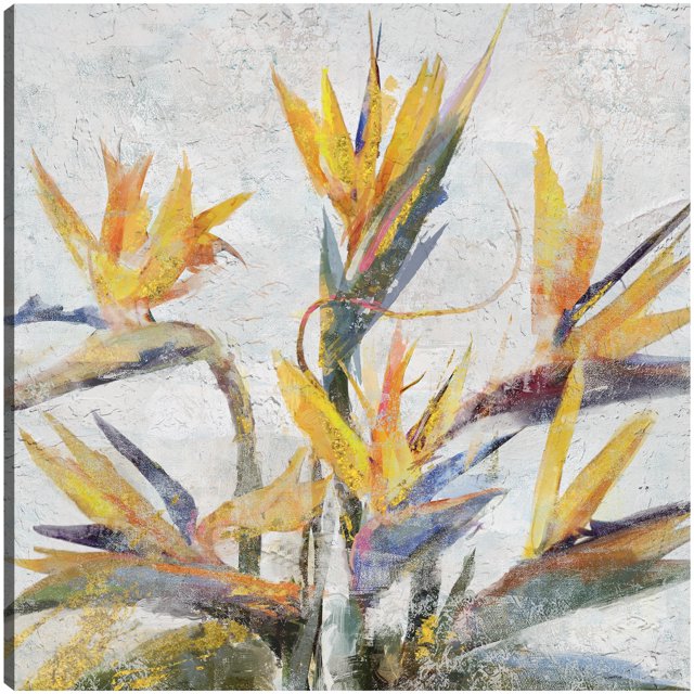 Cuadro Decorativo - Ave del Paraíso Jr Impresión en canvas, estrechado