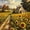 Sunflower Farm01, variant on Winding Path Floral Church Garden Framed Wall Art, Solid Wood Frame Pastoral Countryside Oil Print, Farmhouse Botanical Wall Decor for Entryway Kitchen, 12x16in