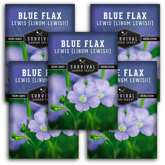 5 Packs Lewis Blue Flax Seeds - Drought Tolerant Flowers - Non-GMO Heirloom Perennial Full Sun