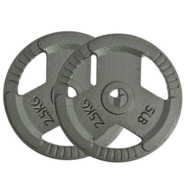 Cast Iron Plate Weight Plate for Strength Training, Weightlifting and