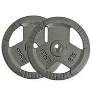 DZT1968 Barbell Standard Cast Iron Weight Plate-Weight Lifting Plates,2.5-55 Lbs