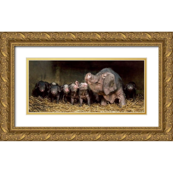 Van Den, Gert 32x17 Gold Ornate Wood Framed with Double Matting Museum Art Print Titled - The wrinkled ones