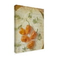 thumbnail image 2 of Trademark Fine Art 'Herb Still Life VI' Canvas Art by Irena Orlov, 2 of 4