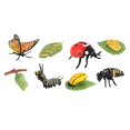 thumbnail image 5 of Juguetes de aprendizaje Strade Fareast Limited ciclo de vida de los animales Estilo A, 5 of 5